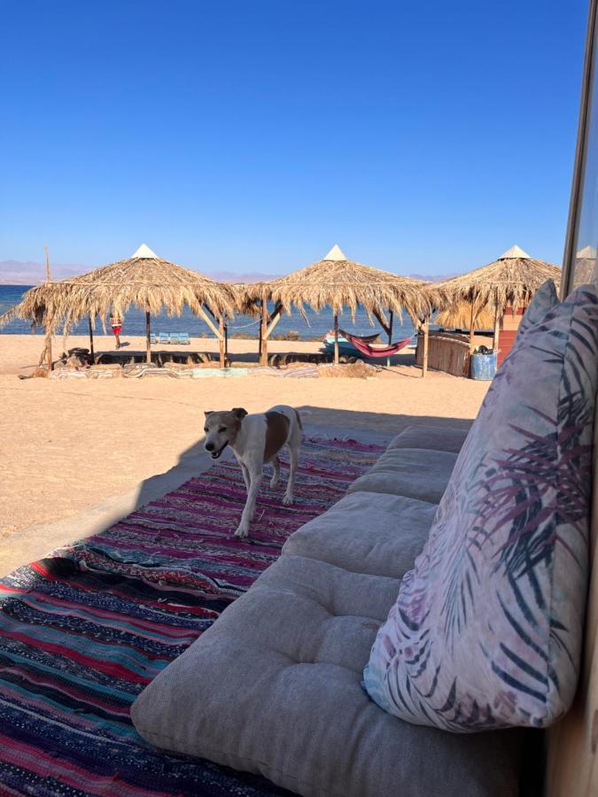 Abdo Caribbean Camp Hotel Nuweiba Exterior photo